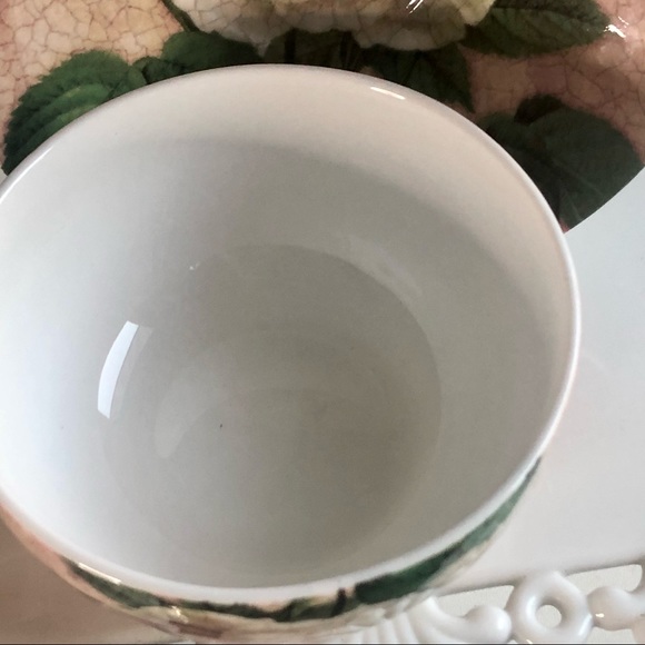 Northamptonshire England Antique Rose Fine Bone China TeaCup & Saucer - Picture 6 of 9